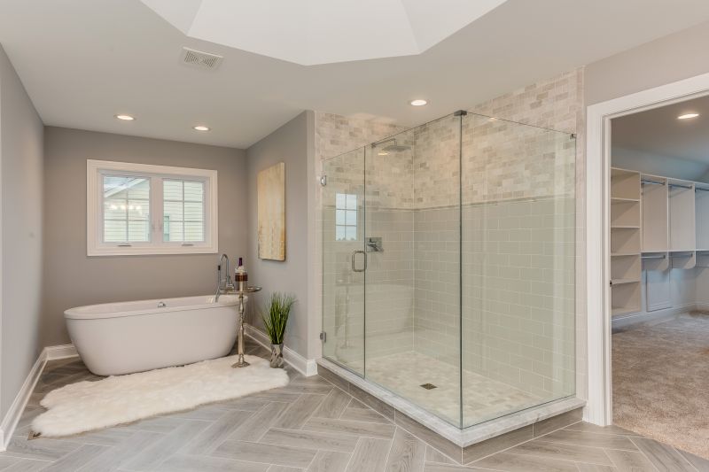 Contemporary Tub and Shower Combo